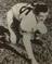 James Zimbrich