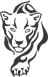 Cougar Legacy
