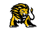 Lions Wall of Fame