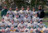 1994 Baseball