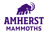 Logo belonging to a sponsor