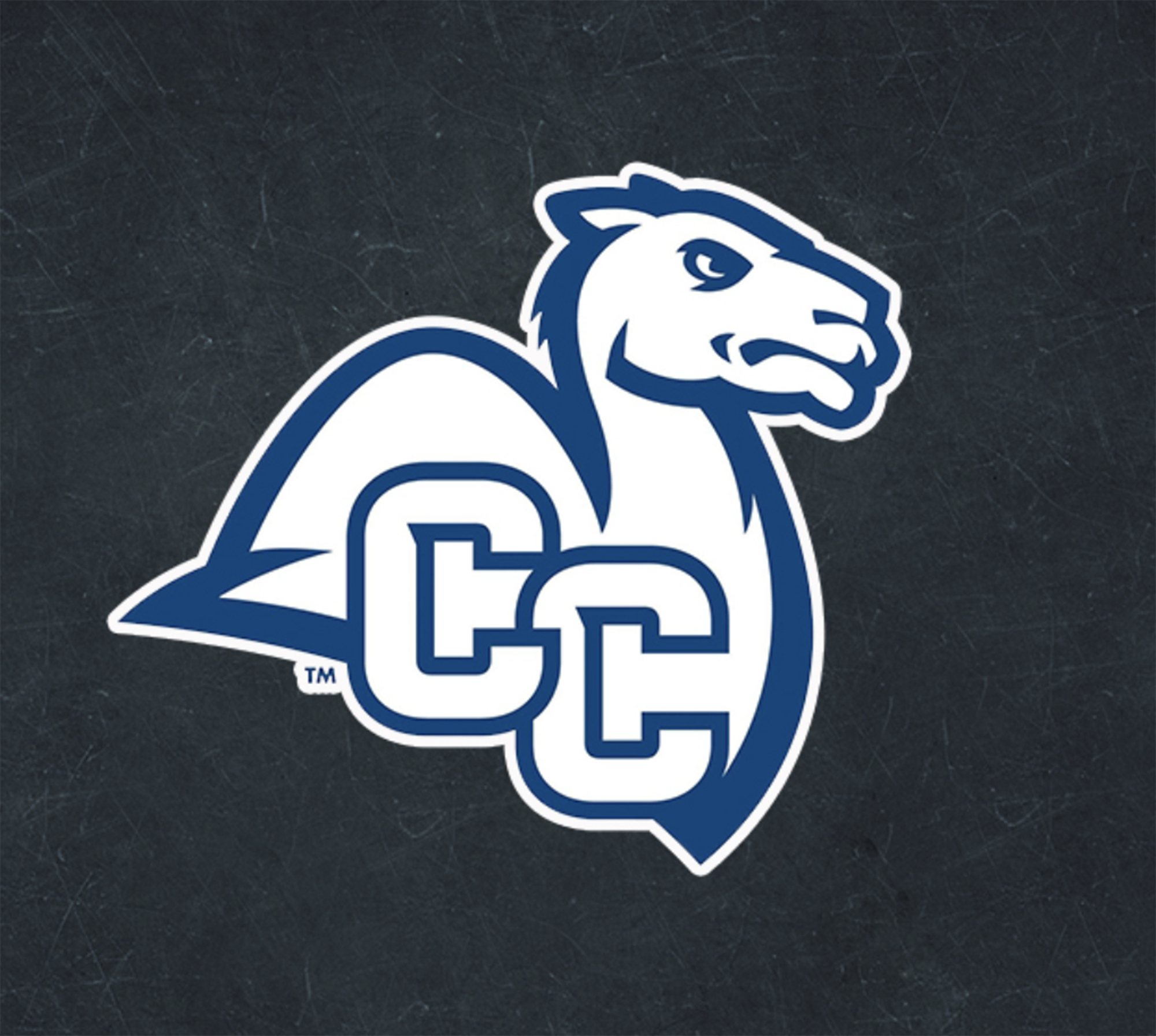 Logo belonging to a sponsor