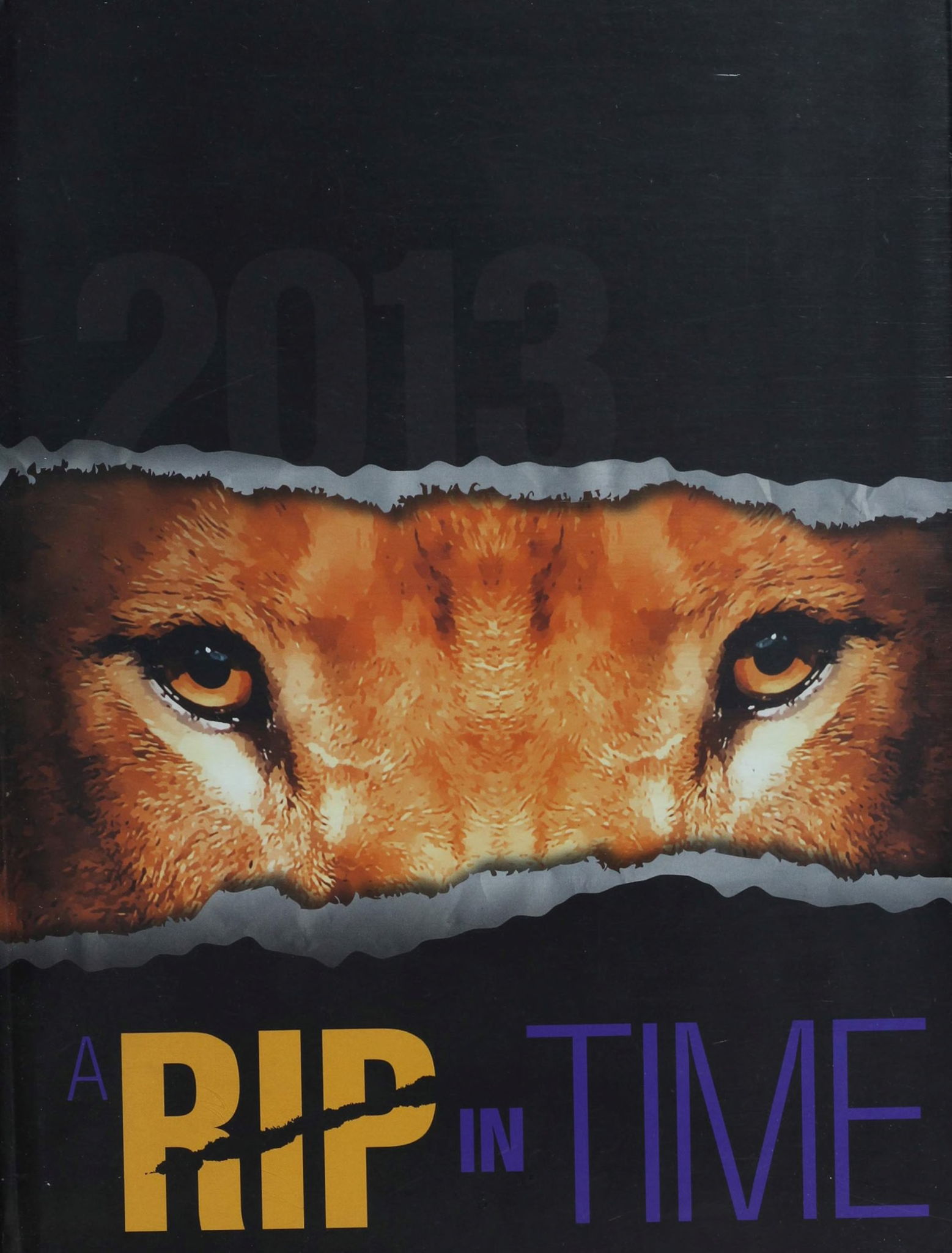 2013
