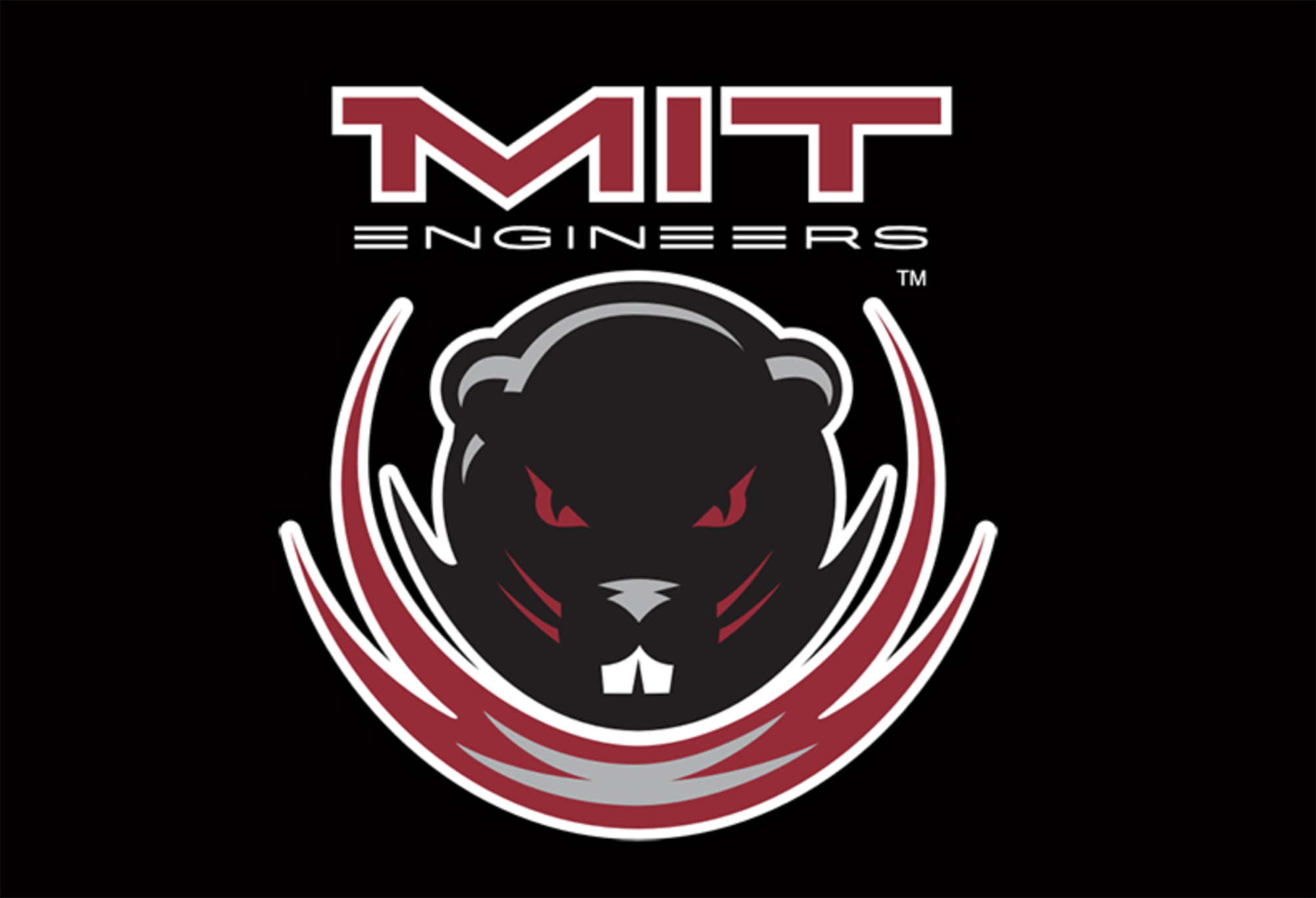 Logo belonging to a sponsor