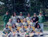 1994 Softball