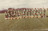 1979 Football