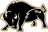 Bison Soccer