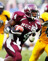 Greg Pruitt, Jr.