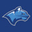 Cougars Athletics History