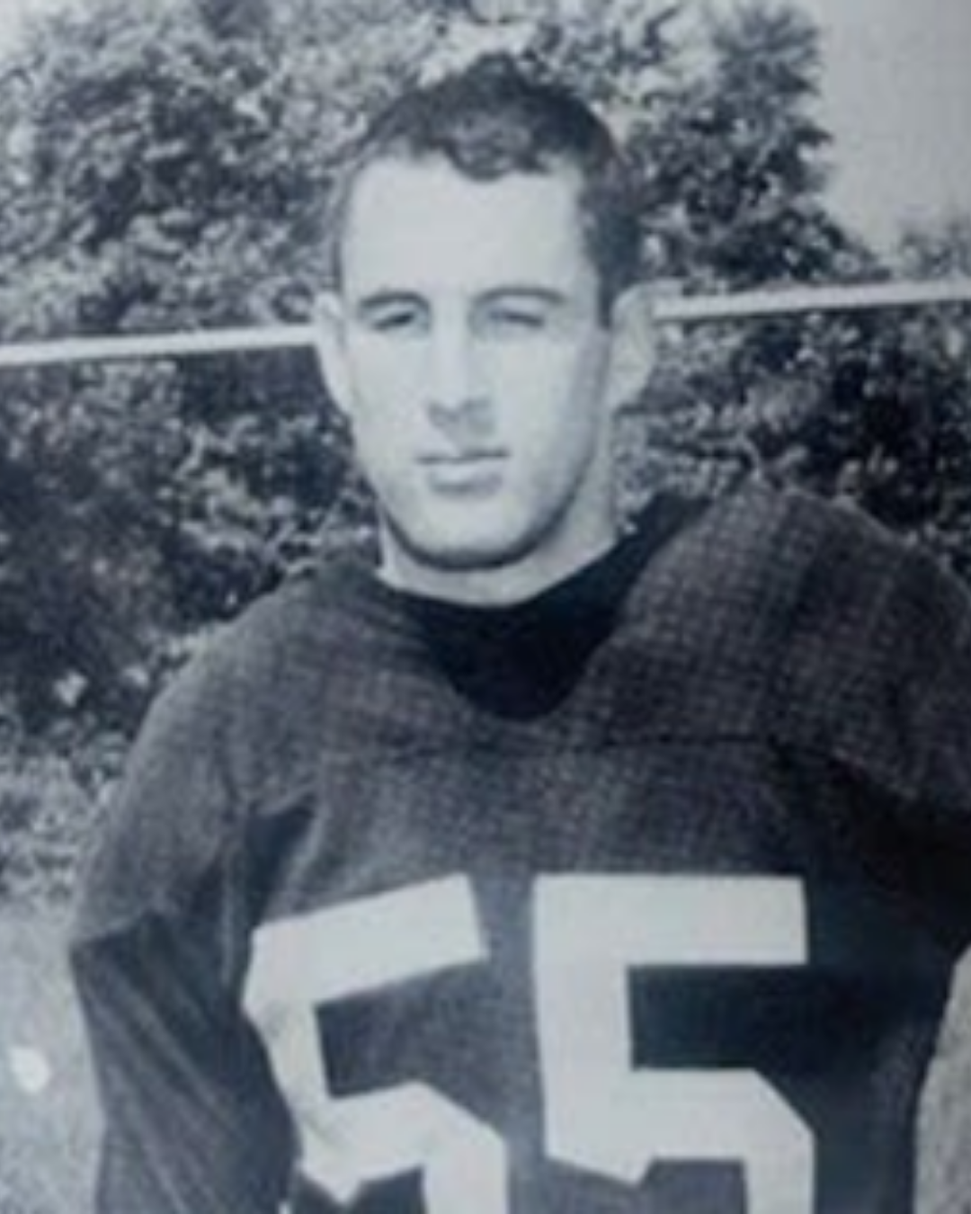 Tony Strauss
