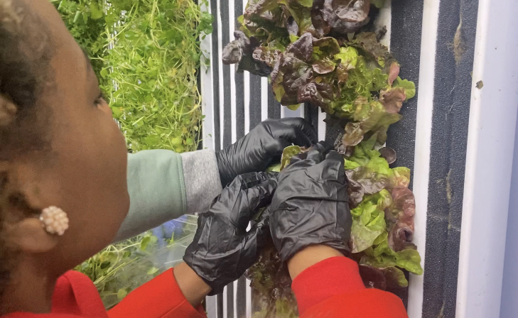 PROJECT NIA: HYDROTECH FARM