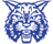 Wildcats Historical Archives