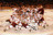 2006 & 2007 Hockey Teams