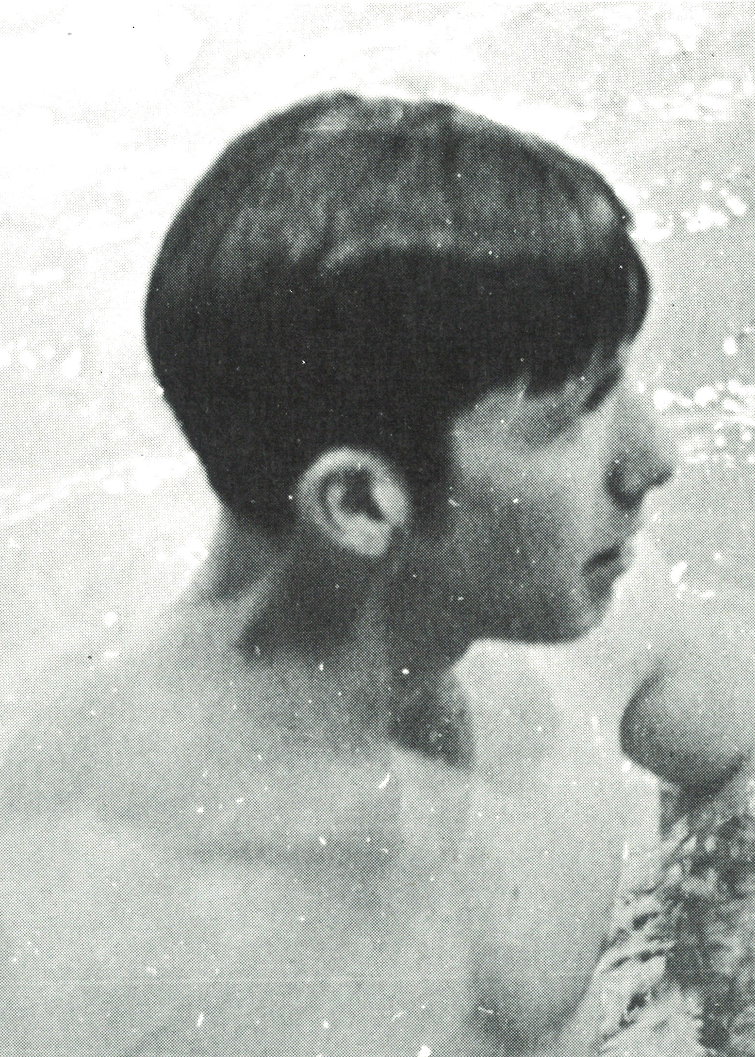 David F. Bonwit