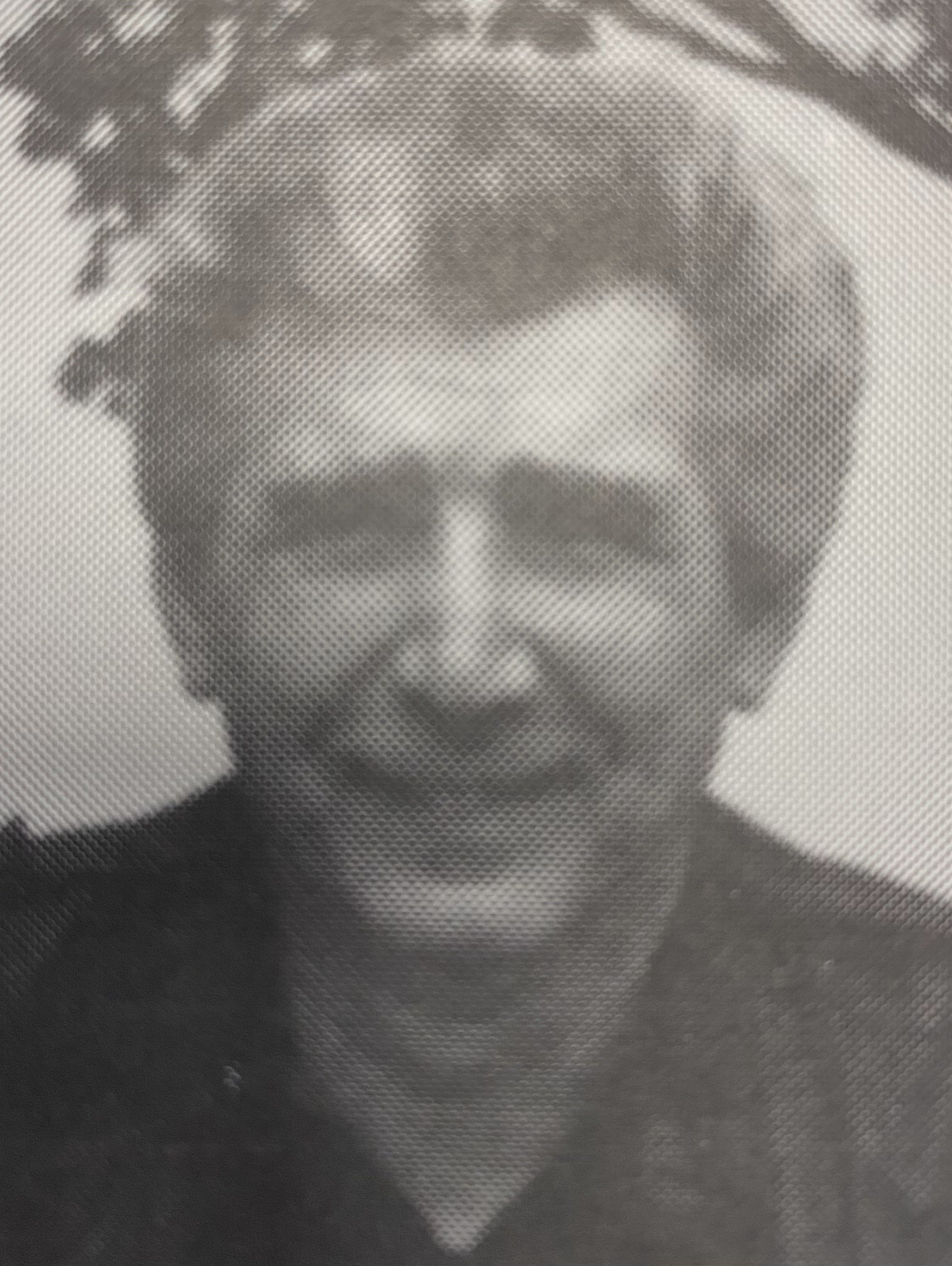 JOE PALUMBO