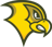 Felician University Athletics