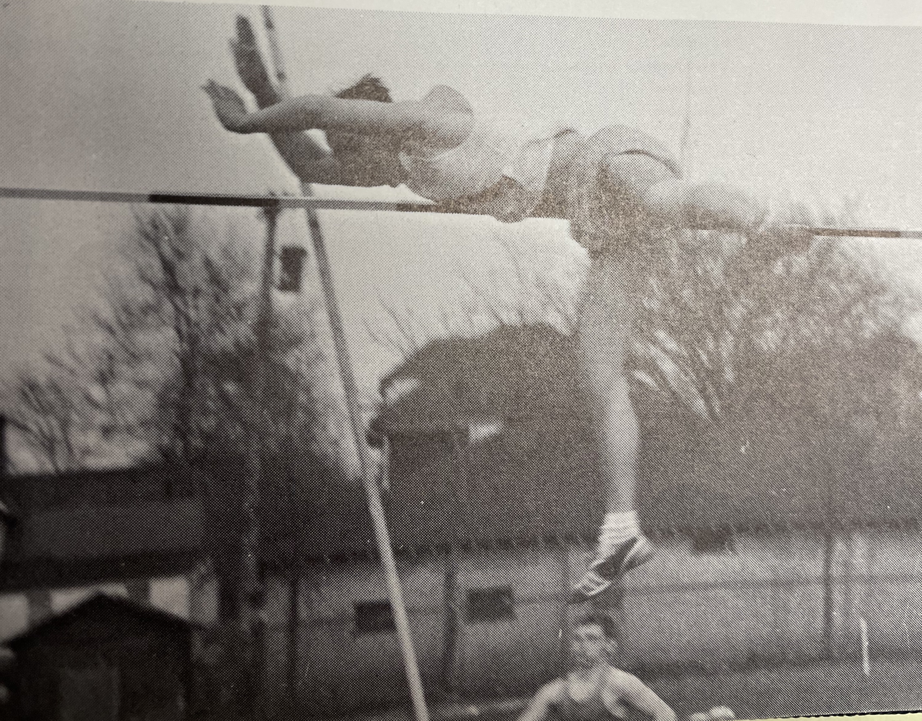 Larry Ruch