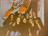 1999 Volleyball Team