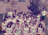 1981 Boys Cross Country