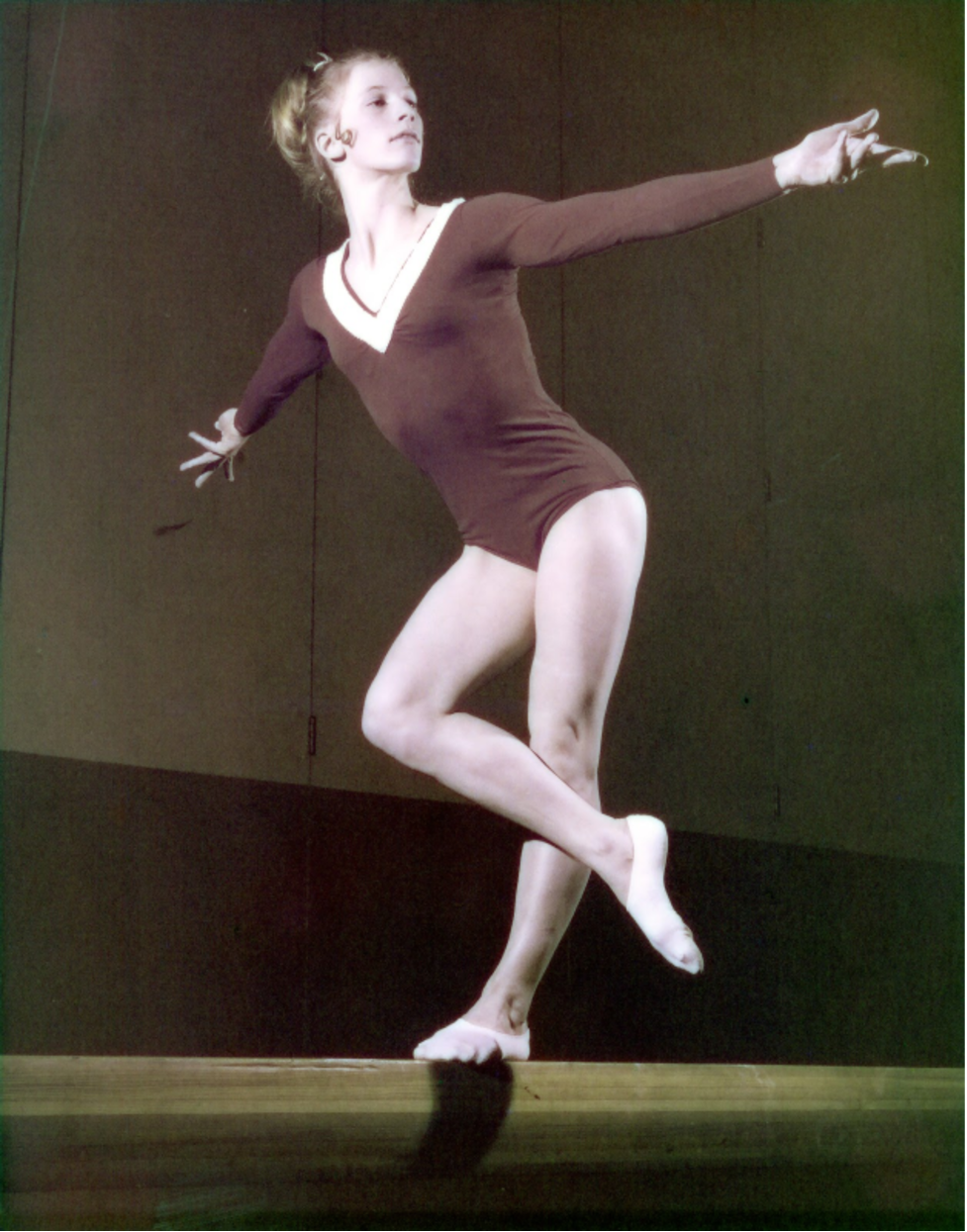 Robin Bleamer Netwall