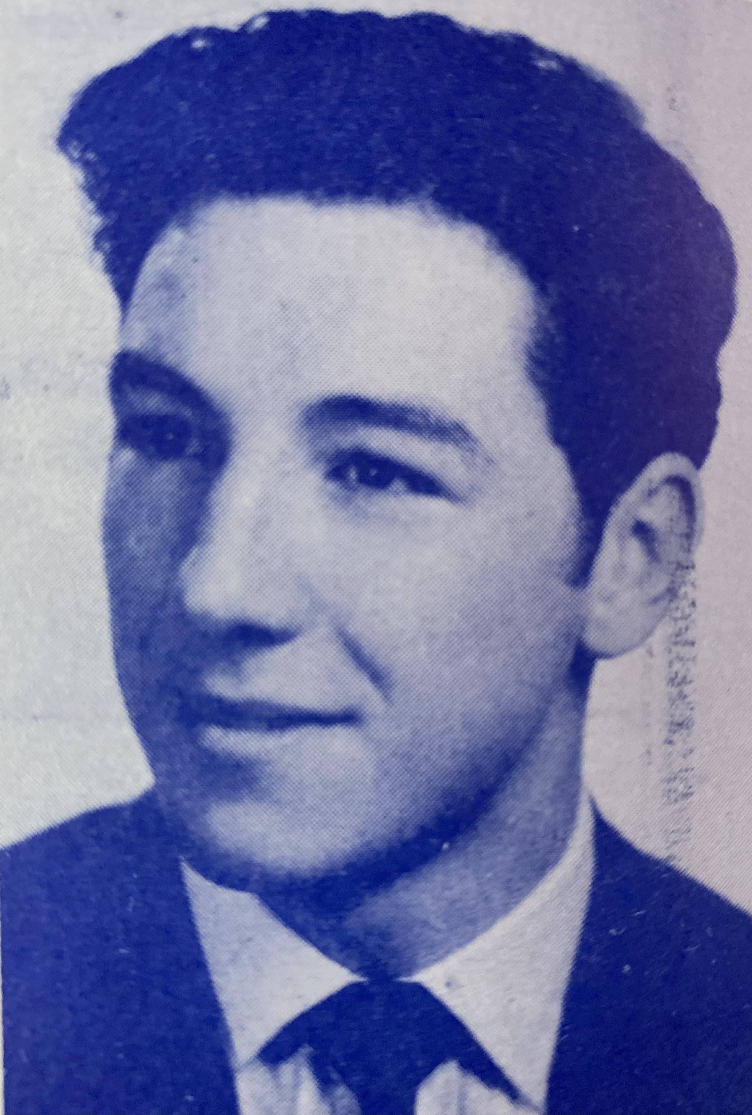 VINCENT CARINI