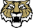 Tigers Hall of Fame