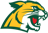 Wildcat Recognition