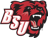 Bears Athletics