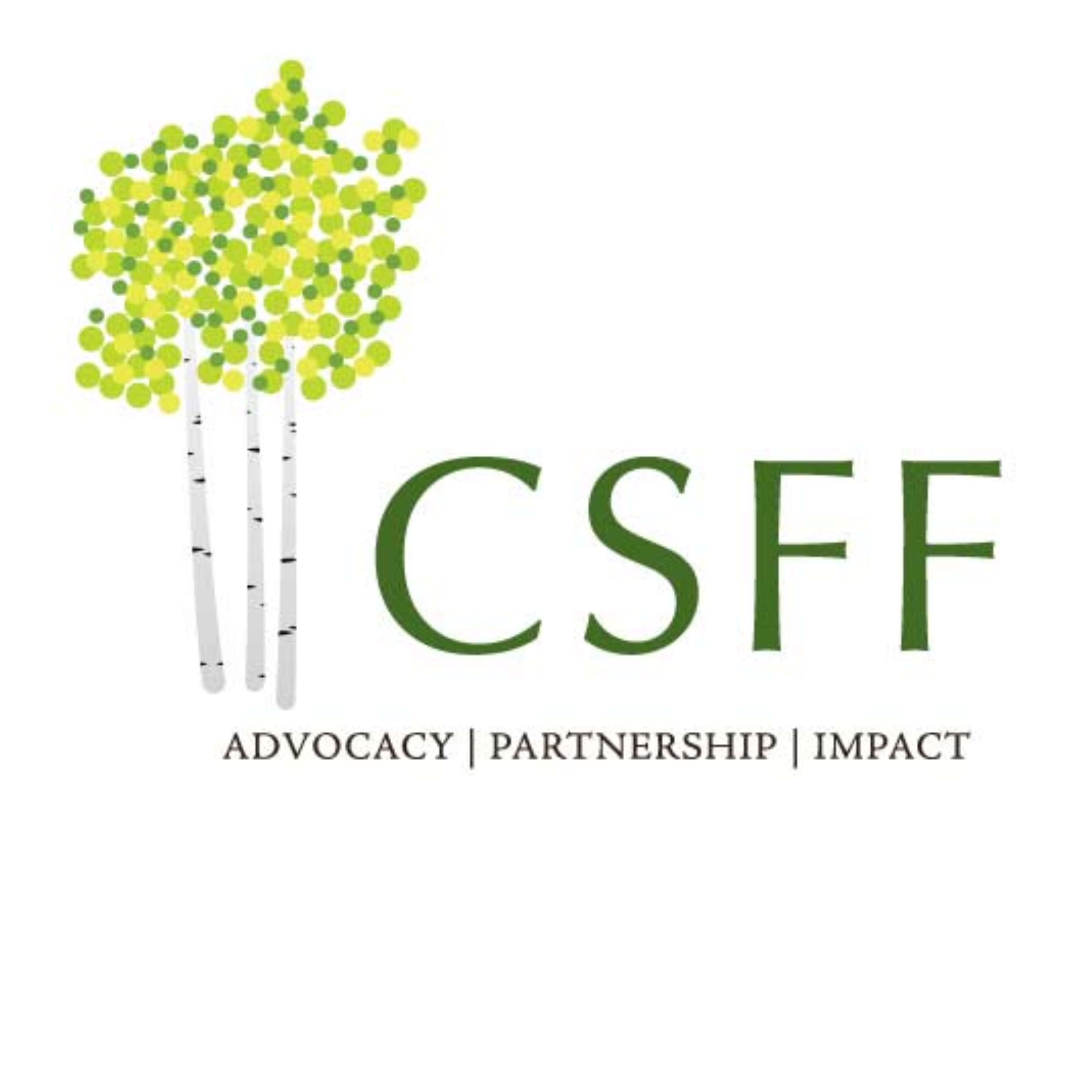 Craig-Scheckman Family Foundation