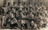 1962 Baseball