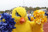 A complimentary image for the content on the page