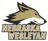 Nebraska Wesleyan Athletics