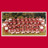 1981 Football Team