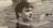 Lance Cansdale