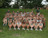 2009 Girls Cross Country