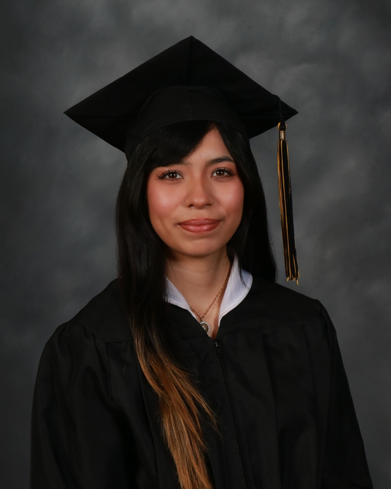 Danna Lezama-Bermudez