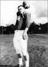 Bill Davis