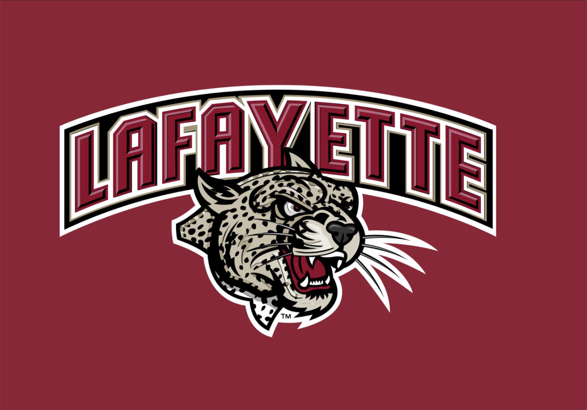 Logo belonging to a sponsor