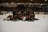 2022 Hockey