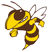 PELLSTON HORNETS 2025-2026 ATHLETICS