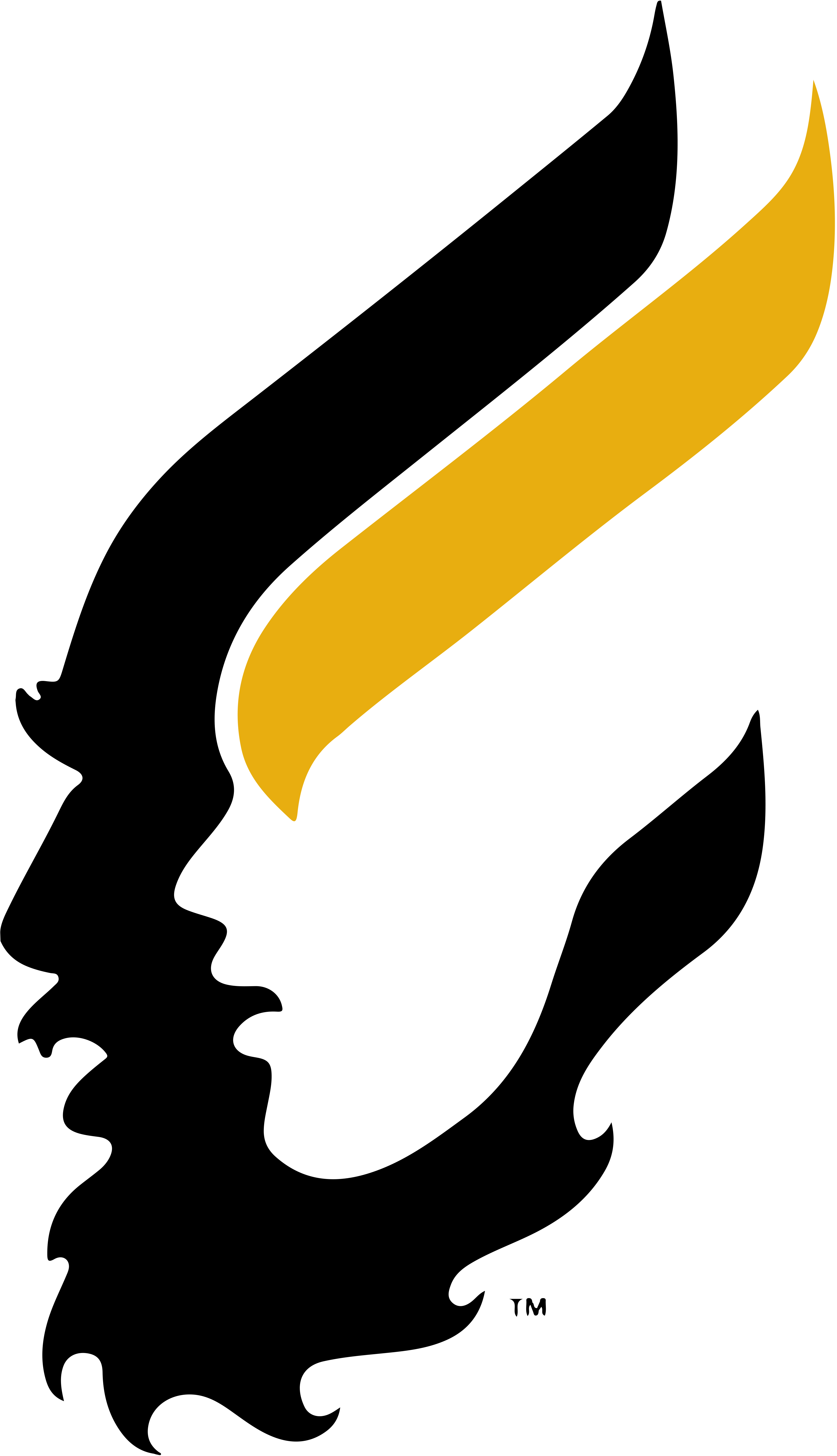 Logo belonging to a sponsor