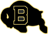 Bisons Hall of Fame