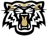 Tigers Hall of Fame