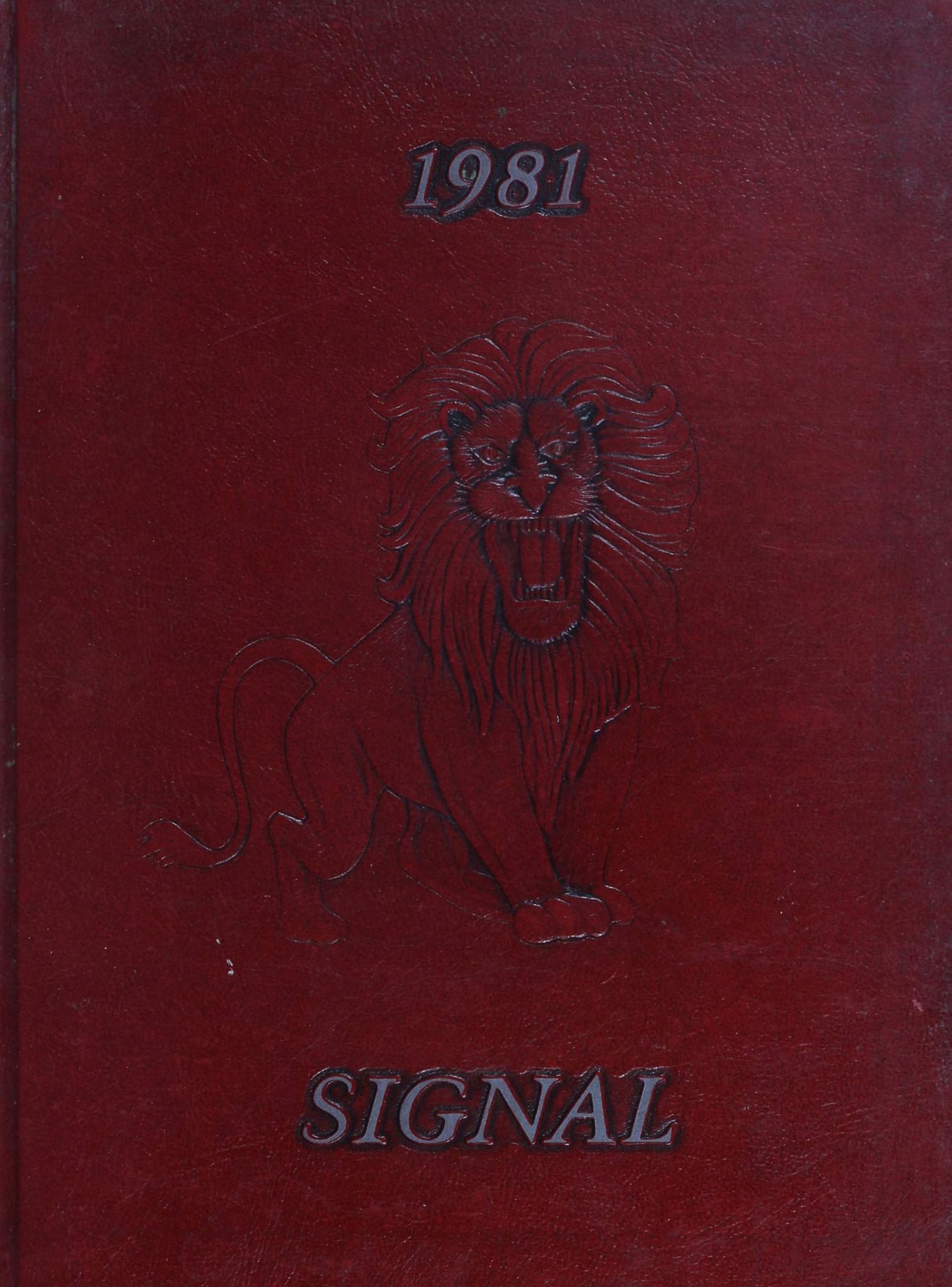1981