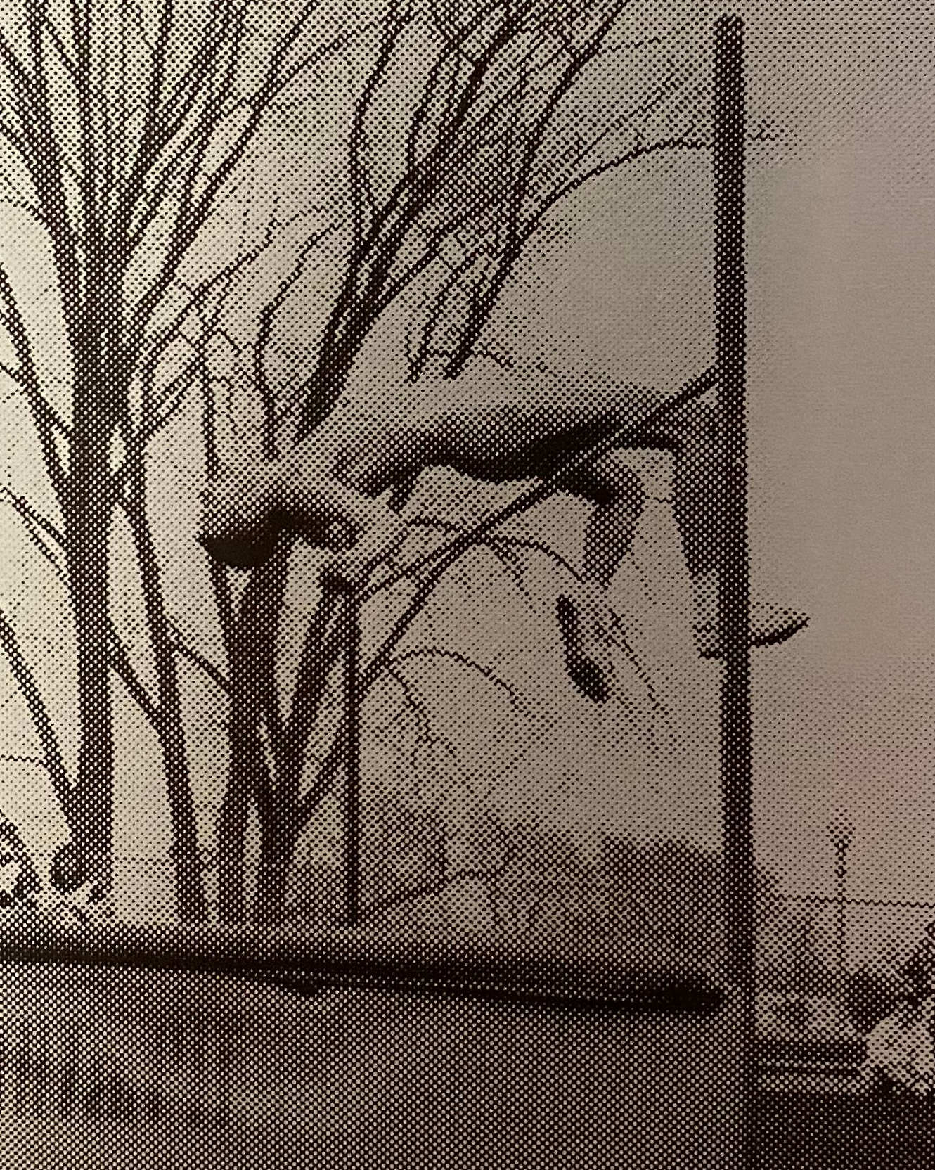 John Schmidt