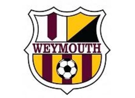 The logo belonging to the presenting sponsor