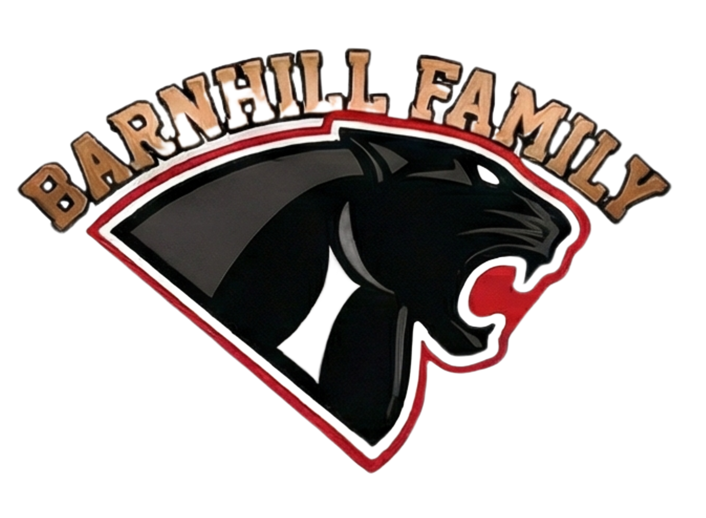 Logo belonging to a sponsor