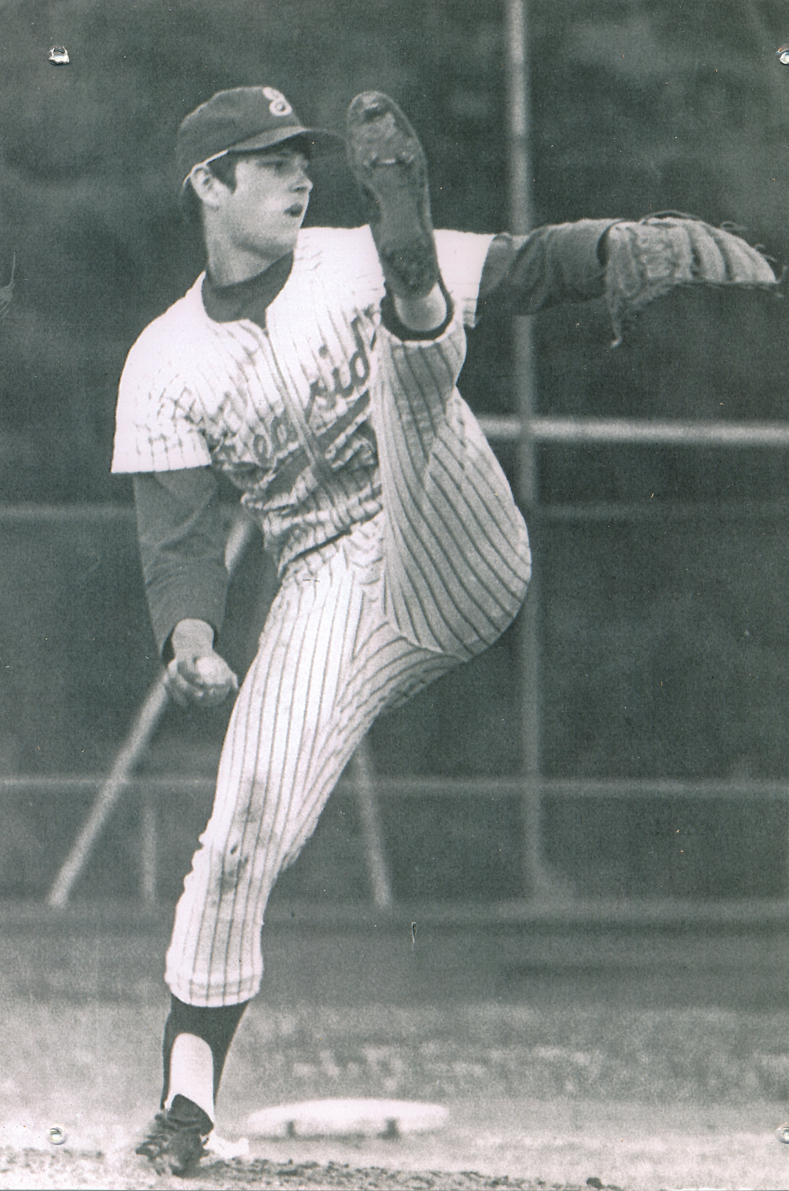 Lee Wilson