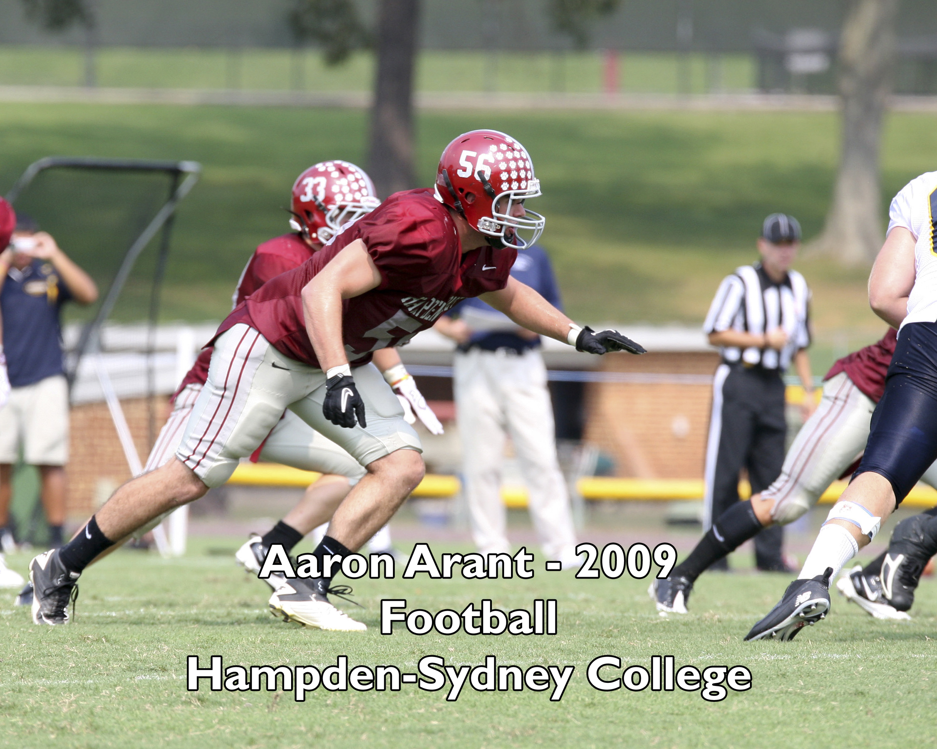 Aaron Arant