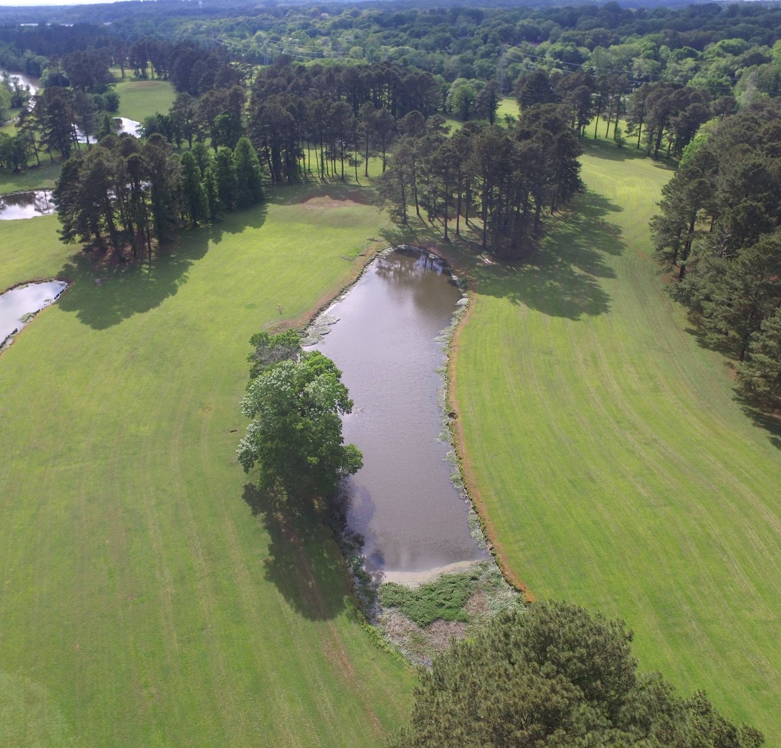 McFarland Park Cross Country Course